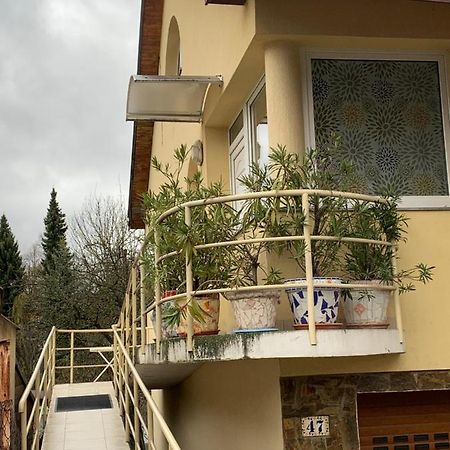 Apartmán u Doktora Banská Bystrica Exteriér fotografie